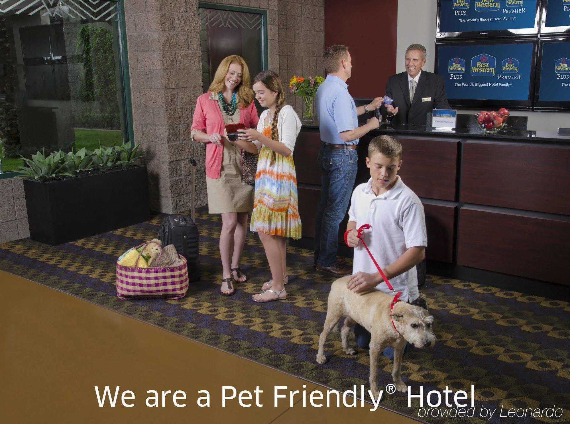 Best Western Sunday House Inn Kerrville Extérieur photo